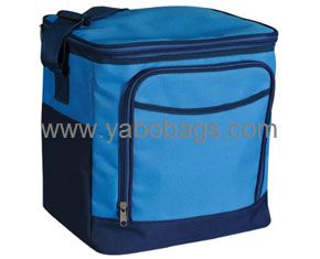 Designer Lunch Cooler Bag