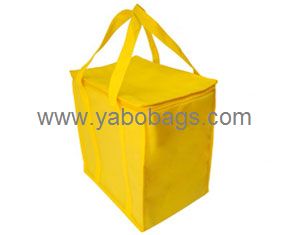 Fashionable Lunch Cooler Bag