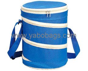 Cool Folding Cooler Bag