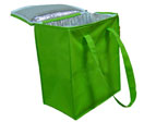 Cheap Non-Woven Cooler Bag