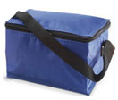 Small Promotional Cooler Bag