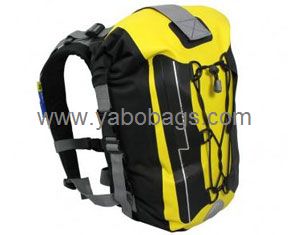 Designer Sports Backpack