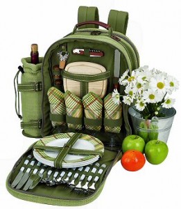 picnic backpack