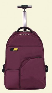 Rolling Travel Bag