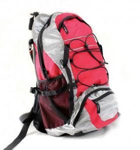 hydration pack with back protector
