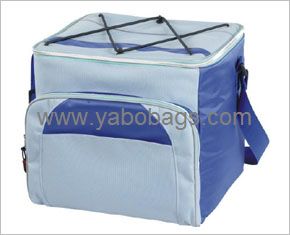 Cooler bag