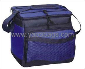 Cooler bag