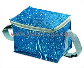 Cooler bag