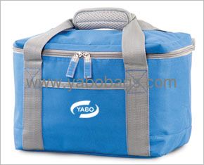 Cooler bag