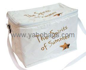 Fashion Lunch Cooler Bag