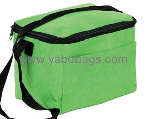 Best Non-Woven Cooler Bag