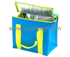 Cute Promotional Cooler Bag