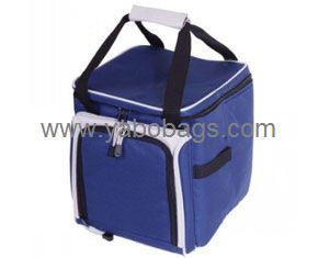 Fashion Tote Cooler Bag