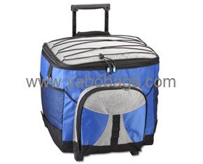 Large Picnic Cooler Bag