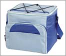 Cooler bag