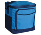 Designer Lunch Cooler Bag