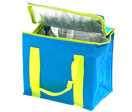 Cute Promotional Cooler Bag