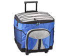 Large Picnic Cooler Bag